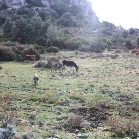 Oda ve Kahvaltı Supramonte Orgosolo