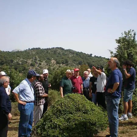 Nocleg ze śniadaniem Supramonte