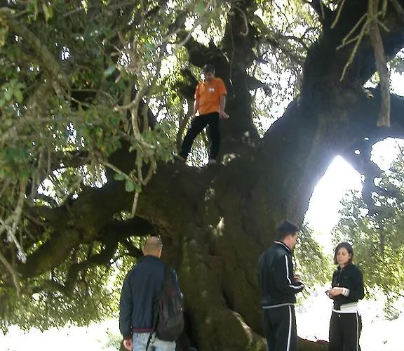 Couette-café Supramonte 3*