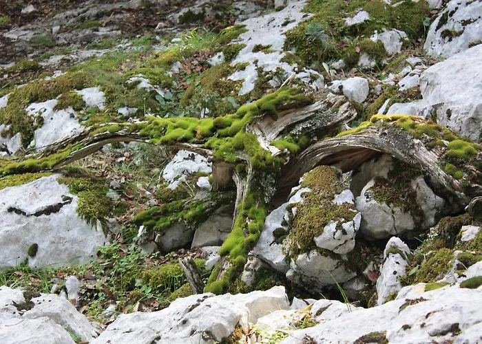 Couette-café Supramonte