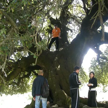 Couette-café Supramonte 3*