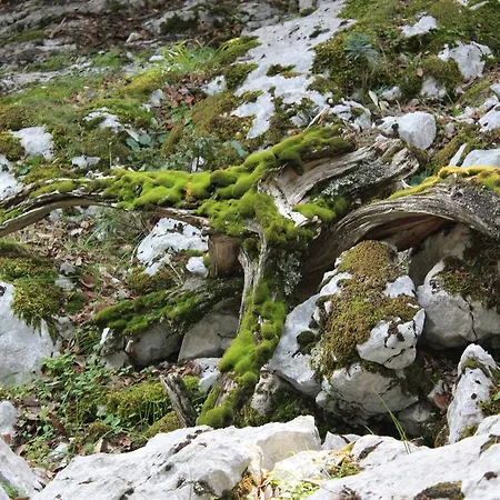 住宿加早餐酒店 Supramonte