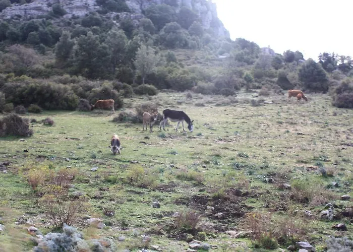 Bed & Breakfast Supramonte Orgosolo