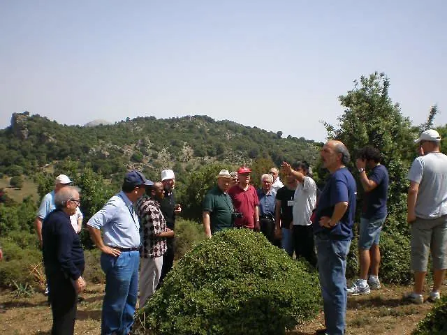 Bed & Breakfast Supramonte